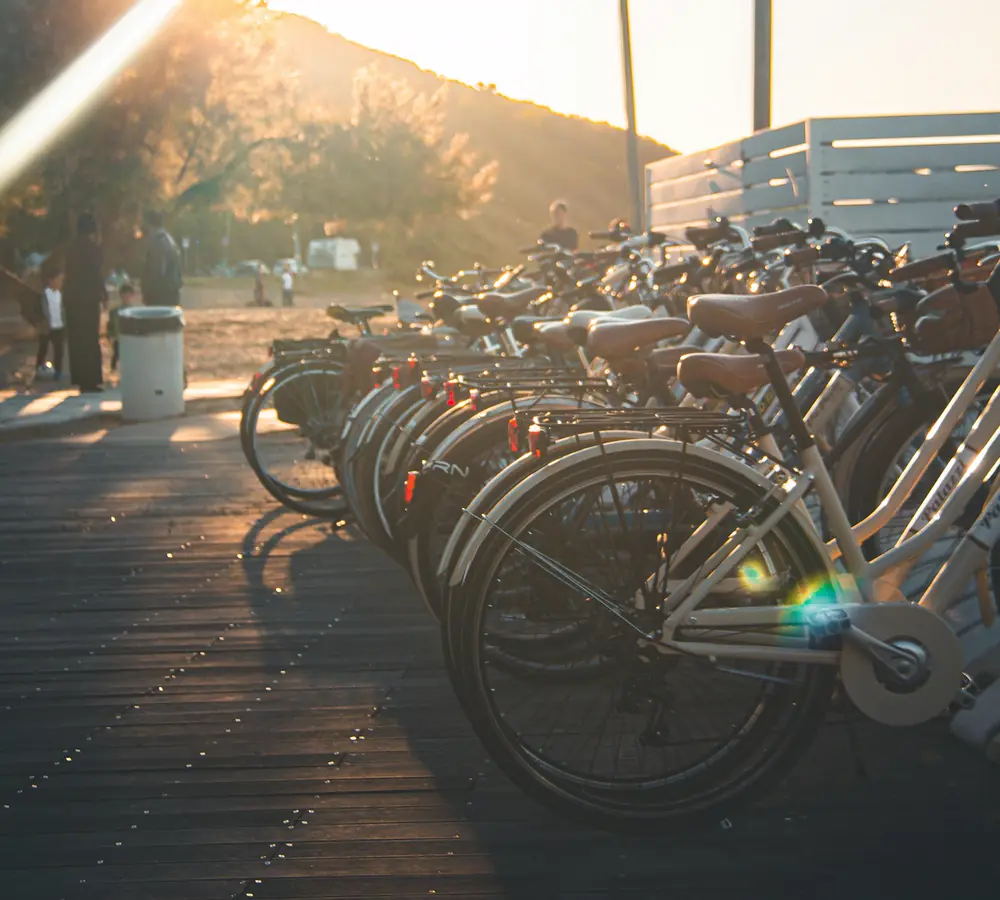 Eine lange Reihe Fahrräder auf einem Holzsteg in der Abendsonne.